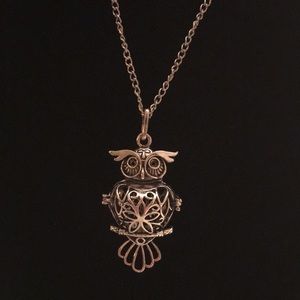 Owl Silver Locket Defuser Long Sweater Necklace